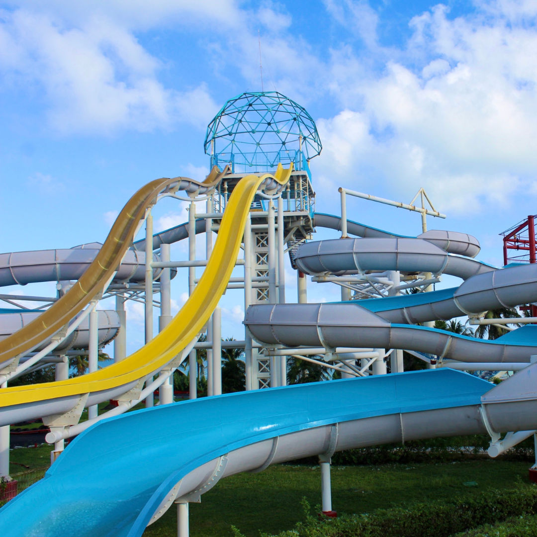 Nado Con Delfines En Ventura Park