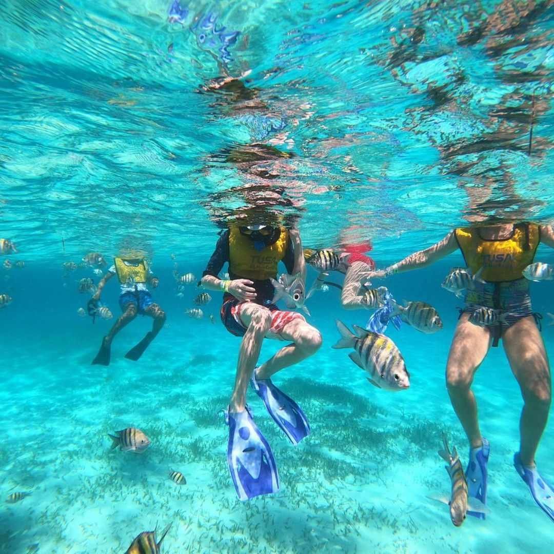 Snorkel En Cancun