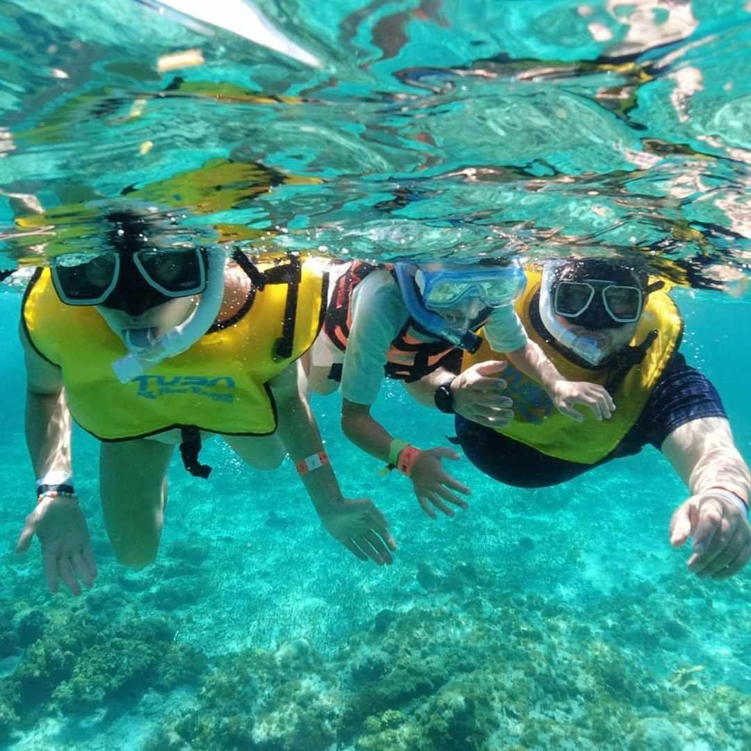 Snorkel En Cancun