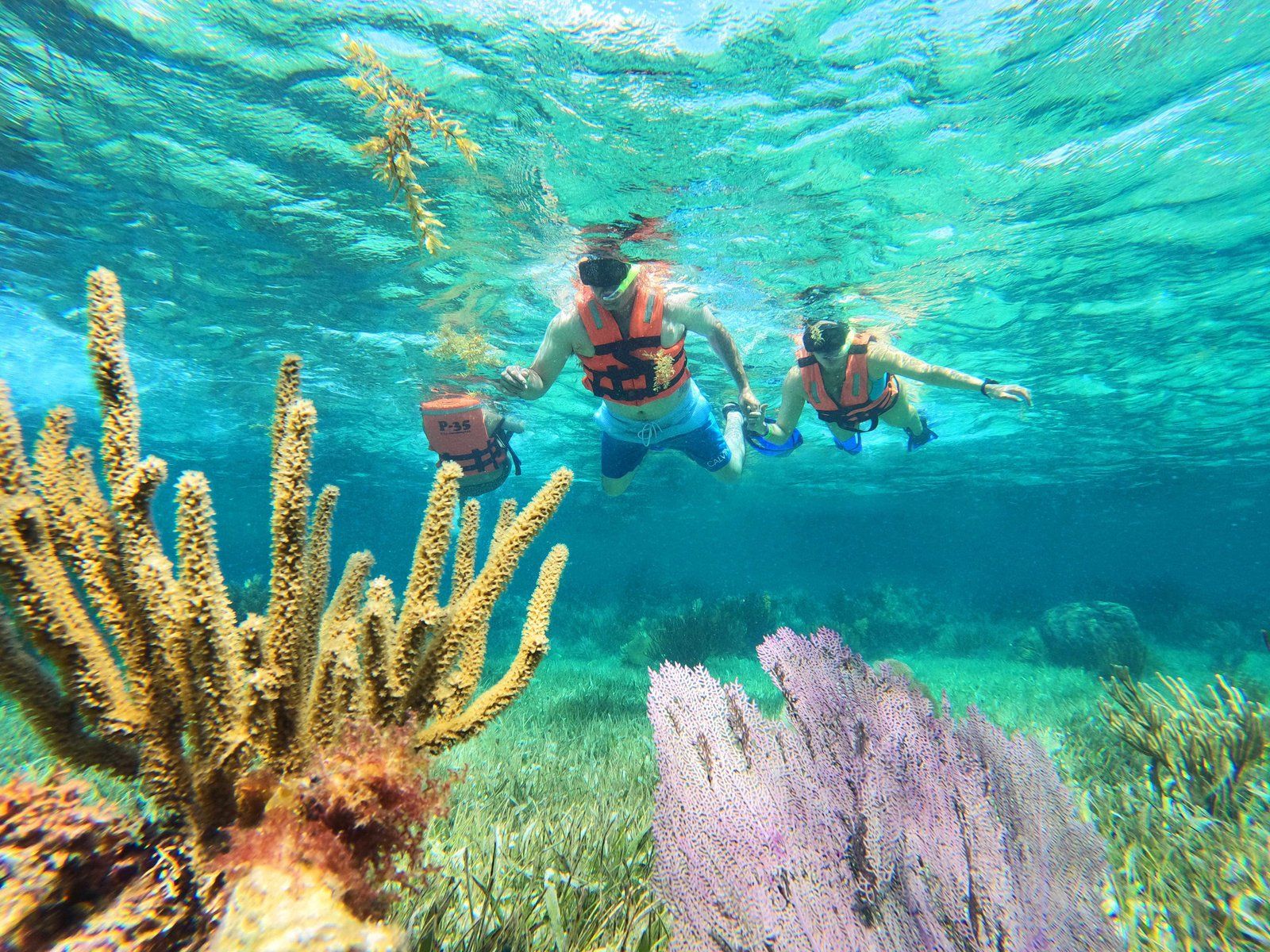 Snorkel Puerto Morelos