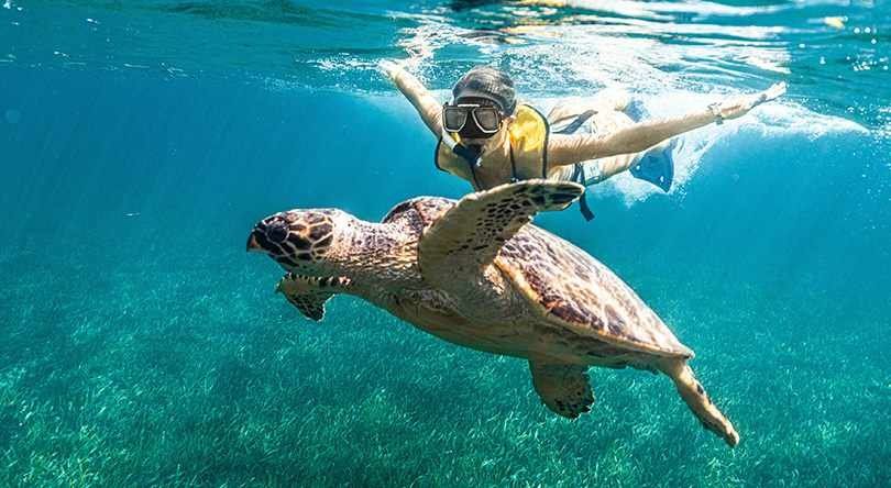 Total Snorkel
