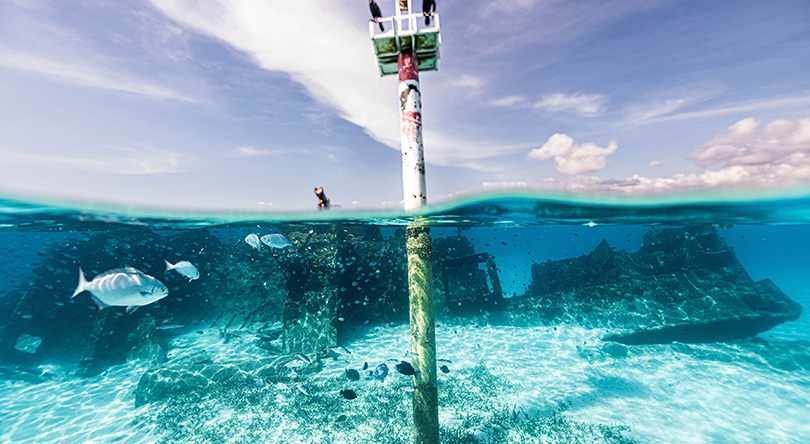 Total Snorkel