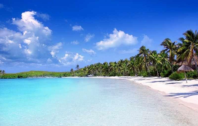 Tour Isla Contoy