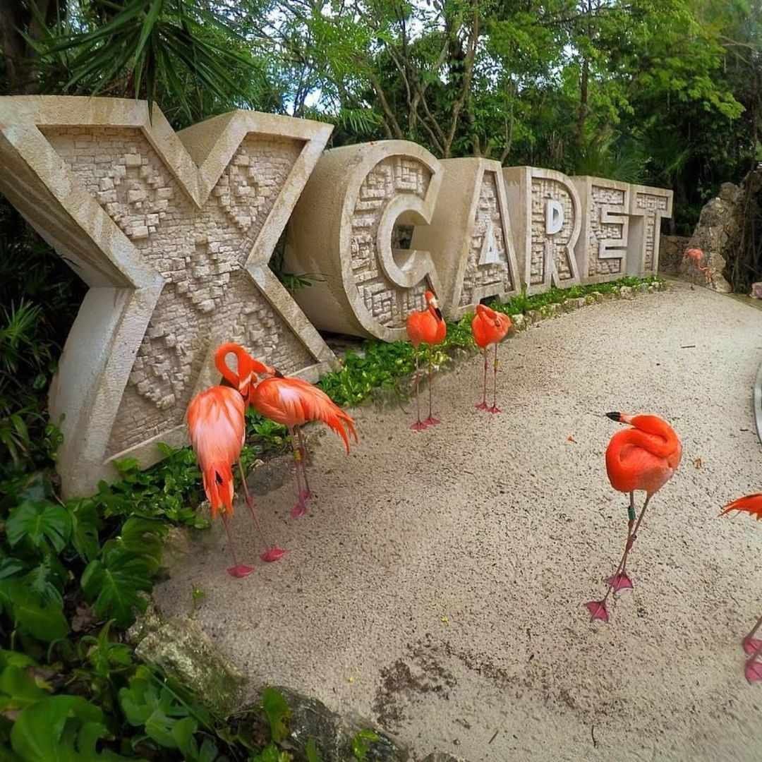 Xcaret  By Experiencias