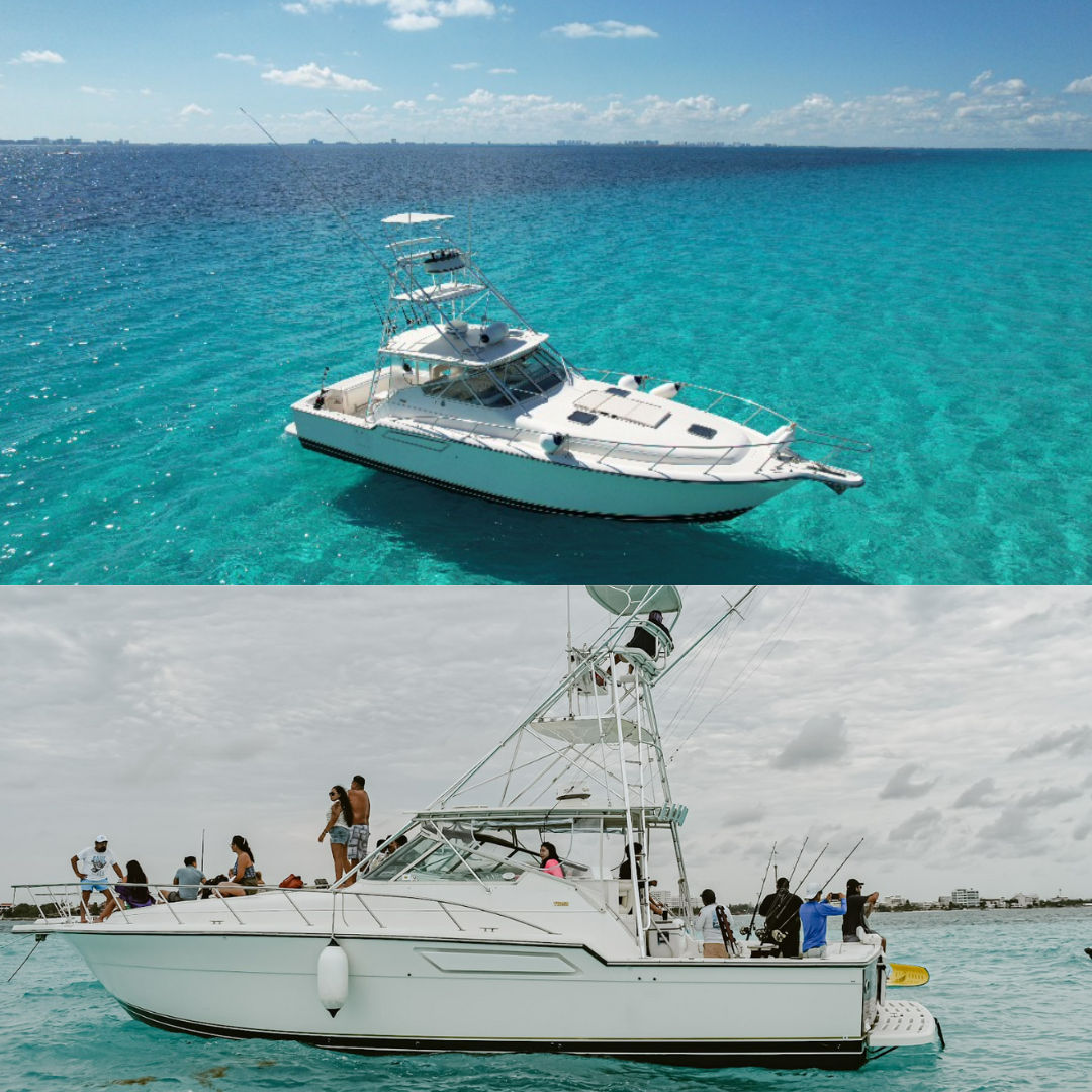 Seawolf Paseo