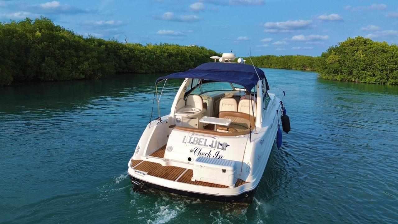 Yate Libelula