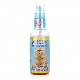 Kucing Scabies