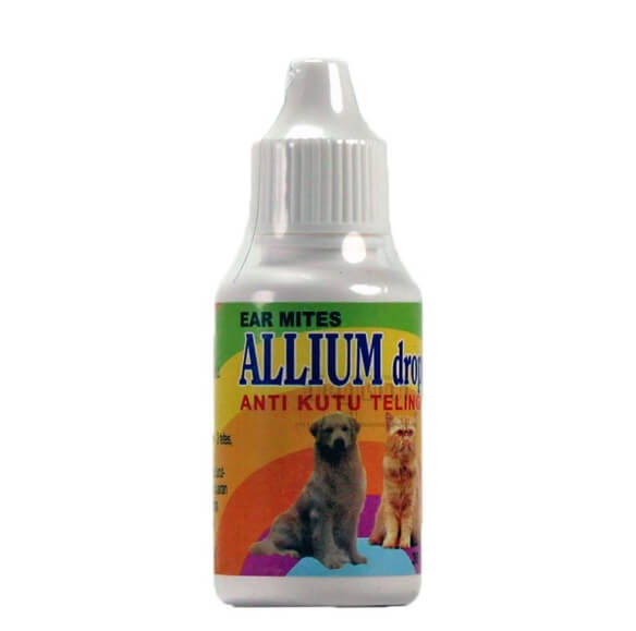 Kutu Telinga Kucing