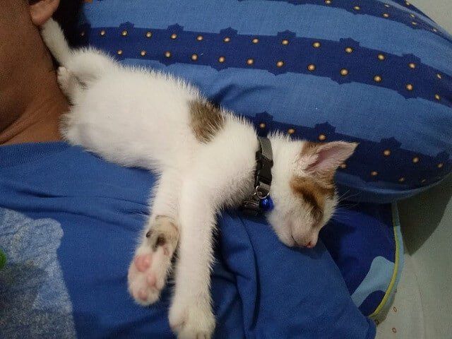 Popo mulai enjoy tinggal bersama kami