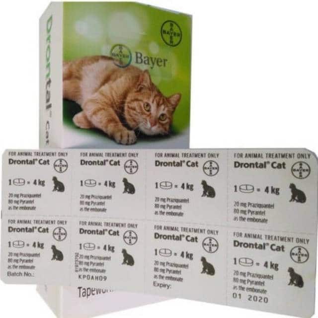 Drontal obat cacingan untuk kucing