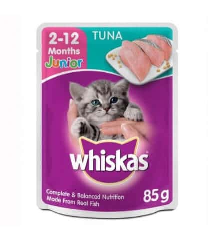 Jenis-Jenis Makanan Kucing 