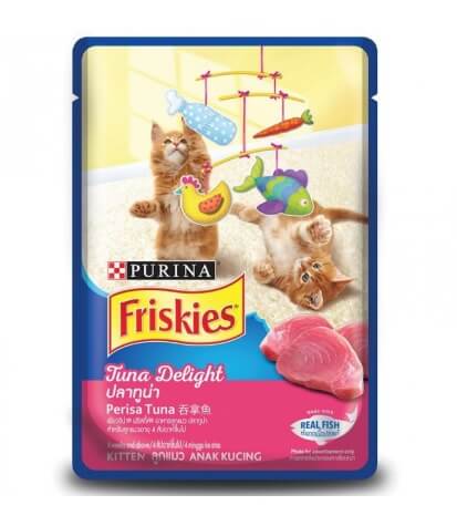 Makanan Kucing Kampung