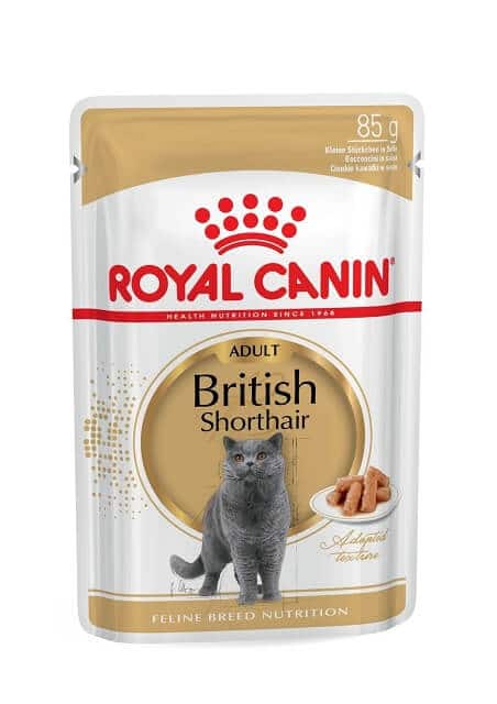 Makanan Kucing Royal Canin British Shorthair