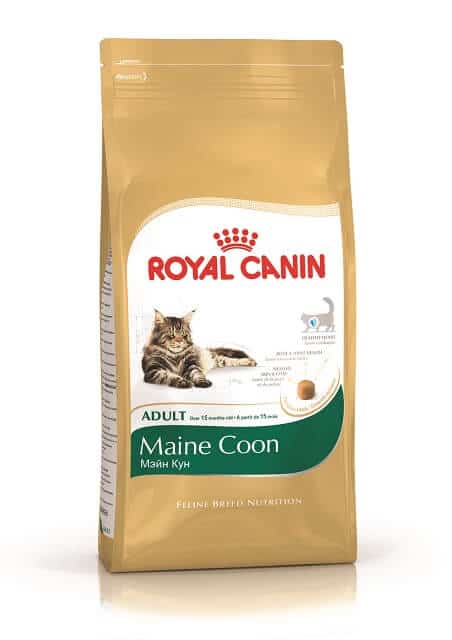 Makanan Kucing Royal Canin Maine Coon