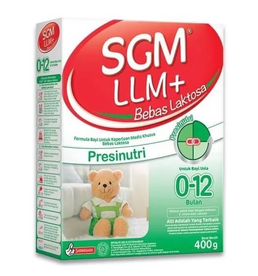 SGM LLM