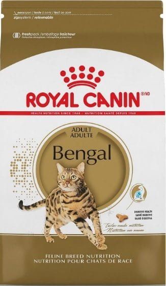 Cara Merawat Kucing Bengal