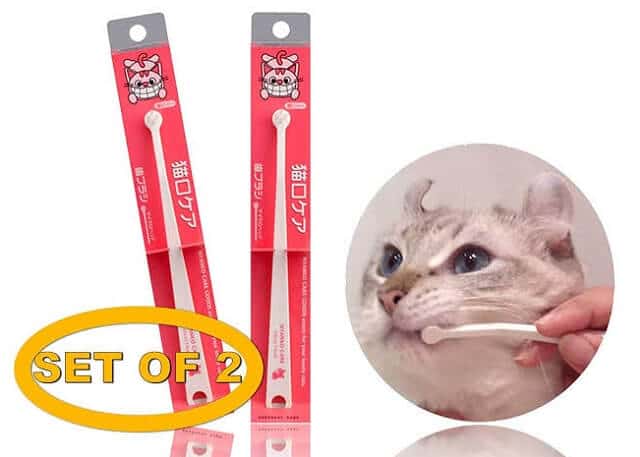 Sikat gigi khusus kucing