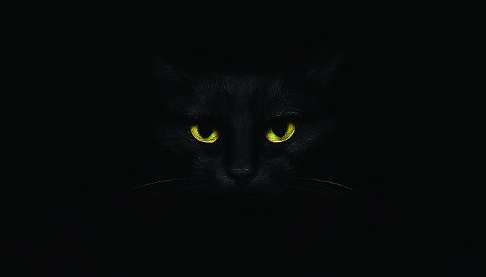 Mitos Kucing Hitam