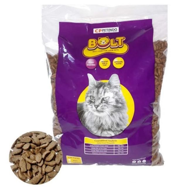 Makanan Anak Kucing