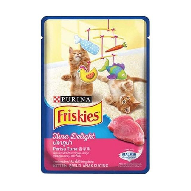 Makanan Anak Kucing