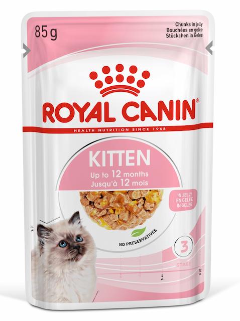 Makanan Anak Kucing