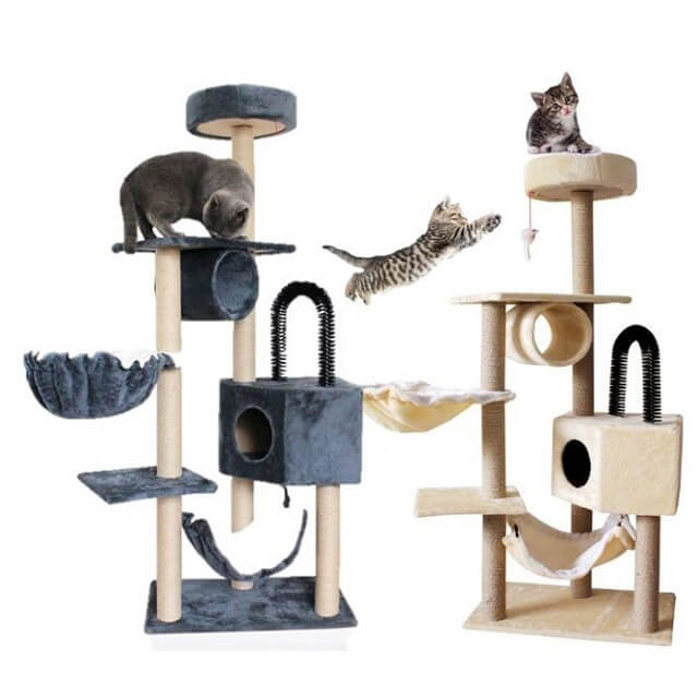 Tips Agar Kucing Panjang Umur