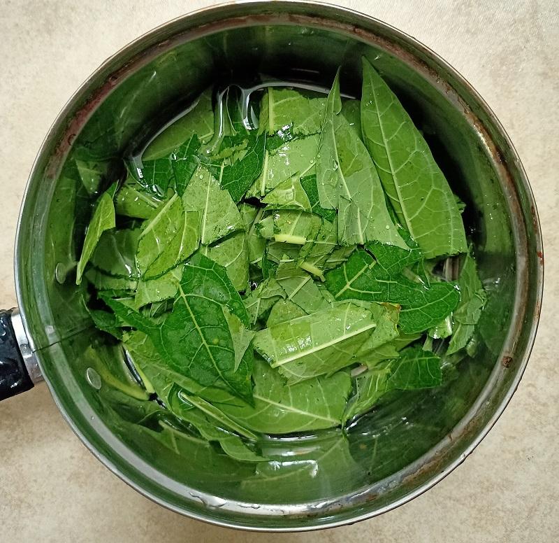 Obat cacingan untuk kucing
