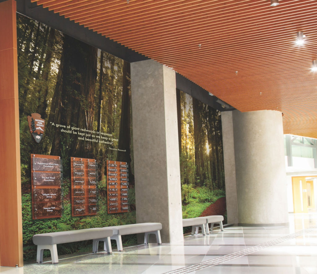 A dramatic "National Parks" recognition display with updateable recognition tiles on encapsulated acrylic fern plaques is installed over custom wallcovering featuring trees in an old-growth forest.