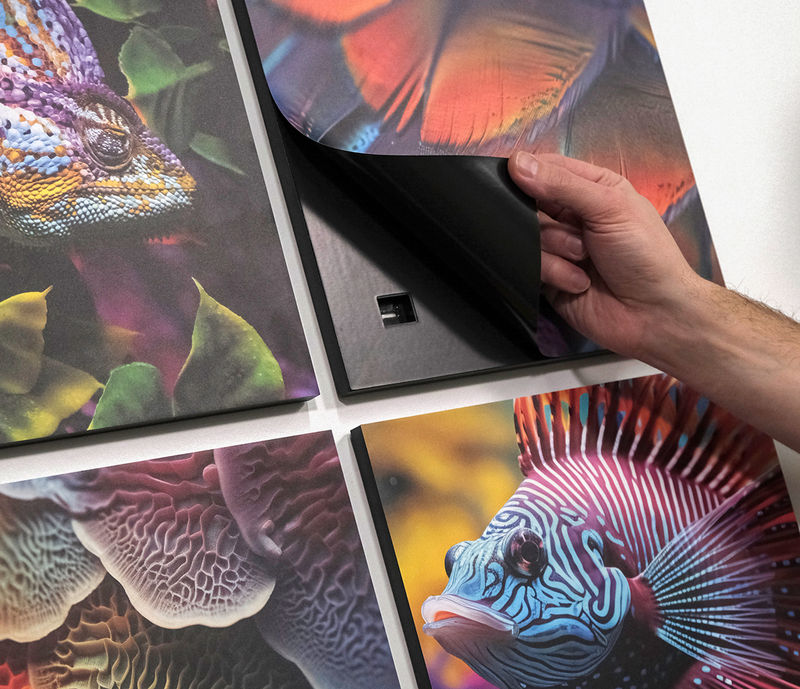 A hand pulling back the corner of a colorful magnetic wall graphic attached to a plastic frame.