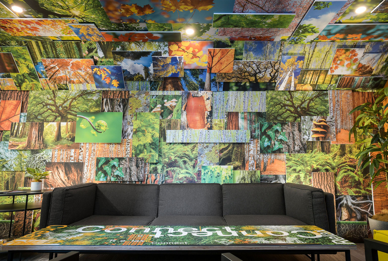 Our showroom nature lounge filled with wall to wall custom printed nature images on Oomph sound dampening wall panels.