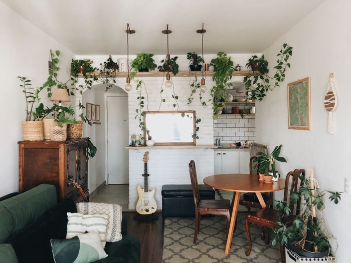 A dining room with a used dining table and chairs, showcasing sustainable style