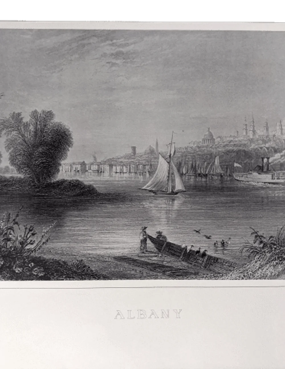 "Albany" Art Print - image 0
