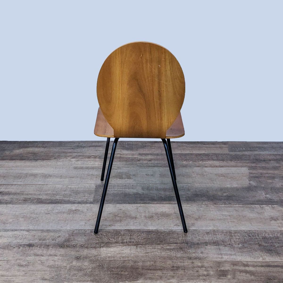 CB2 Sable Dining Chair - Thumbnail 5