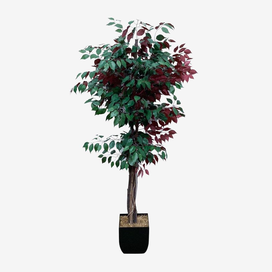 Artificial Ficus Tree in Pot - image 0