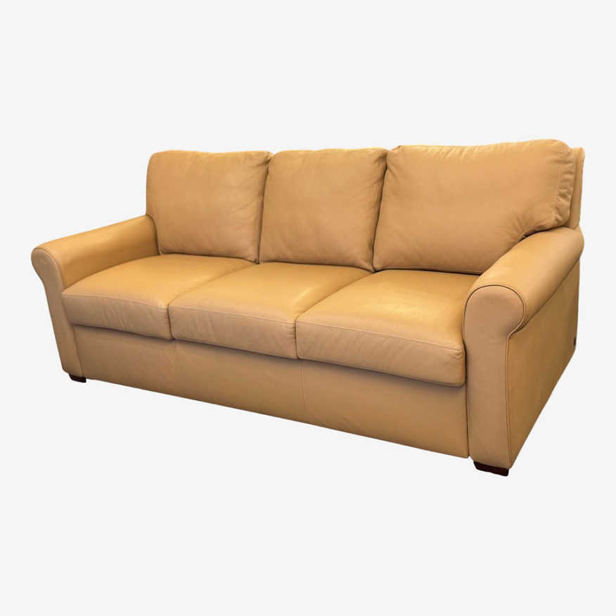 Sleeper Sofa by American Leather - image 0