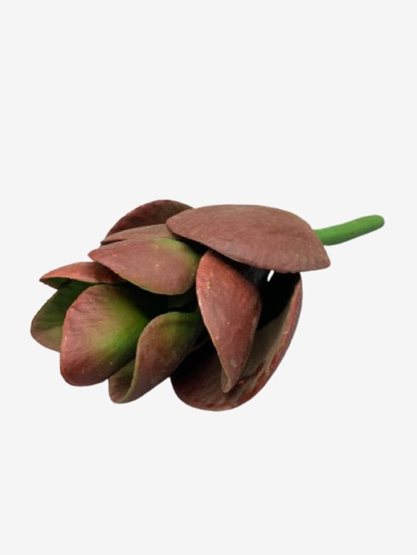 Faux Succulent Stem - image 0