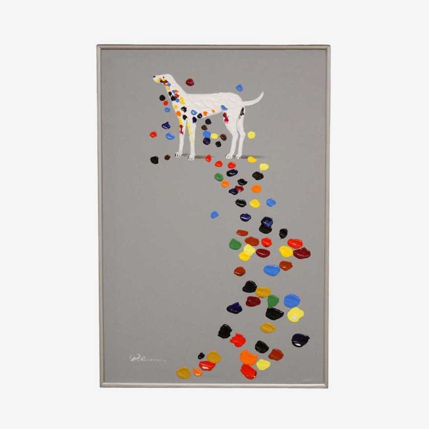 A Dalmatian Losing His Colorful Spots - image 0