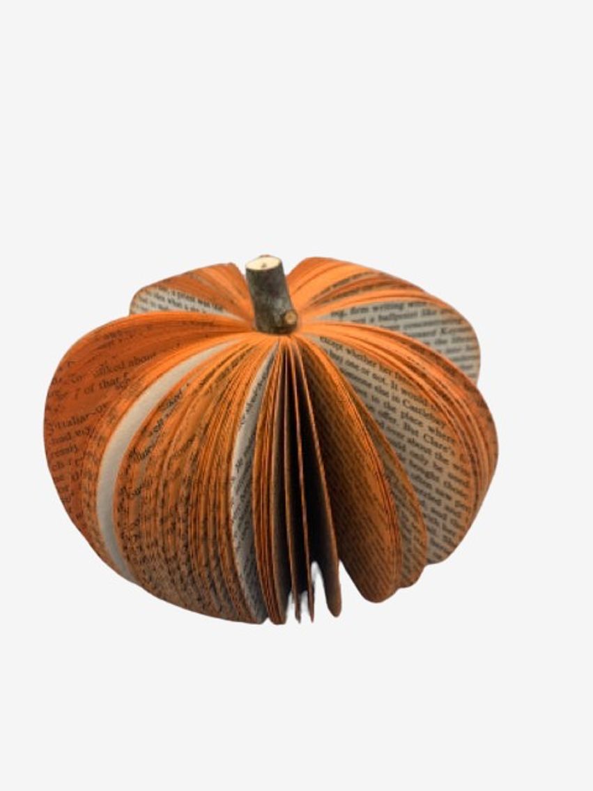 Small Book Pumpkin - image 0