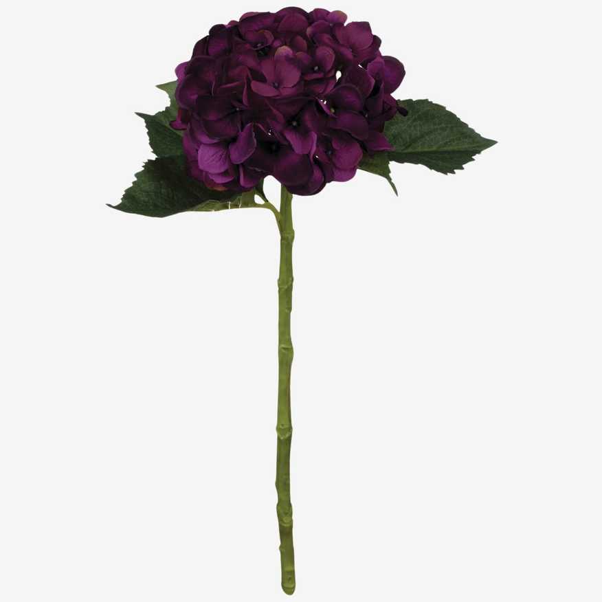  Dahlia Stem - image 0