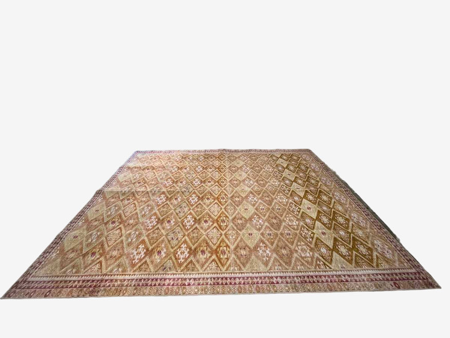 Salazar Rug As-Is - image 0