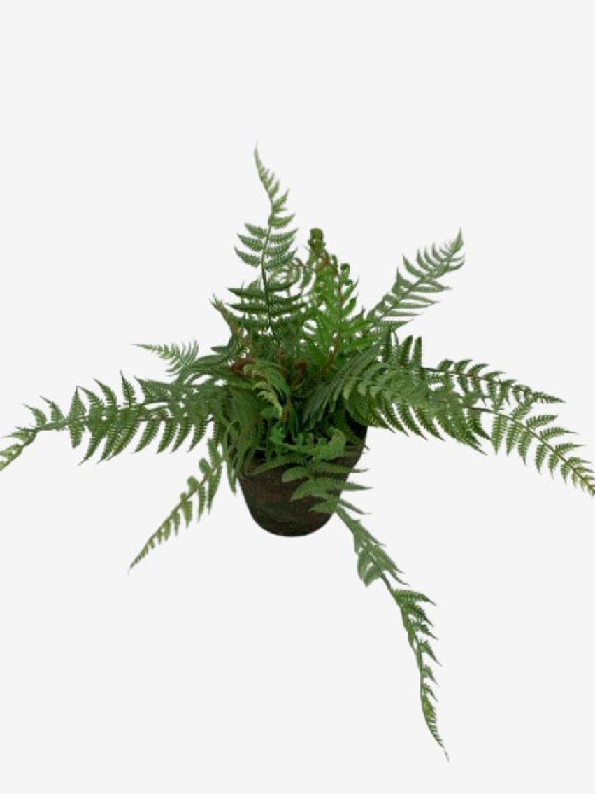 Patina Painted Pot with Faux Plant - image 0
