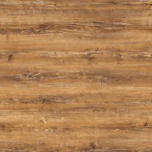 Atacama Cherry