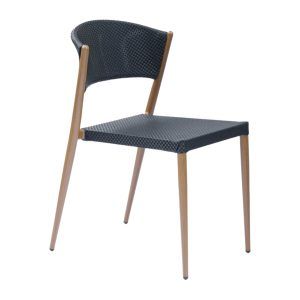 Salzburg Side Chair