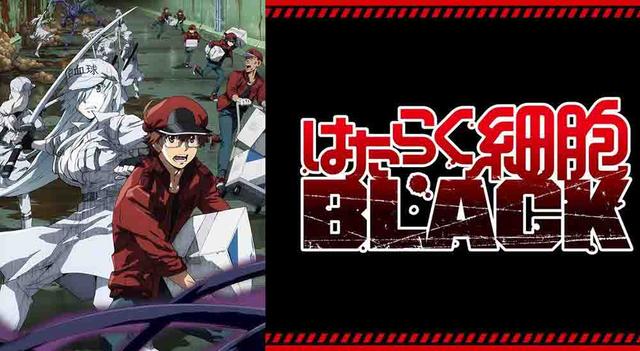 Hataraku Saibou Black (TV)