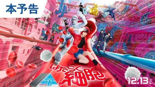 Hataraku Saibou Live Action (2024)
