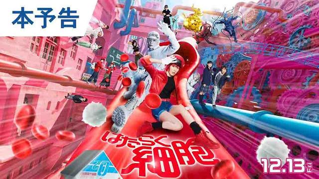 Hataraku Saibou Live Action (2024)