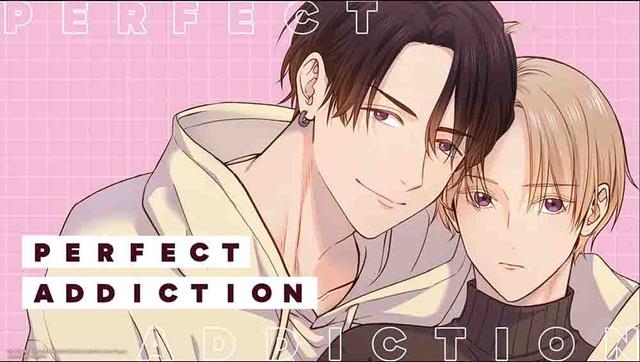 Perfect Addiction