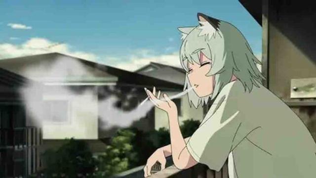 Yani Neko
