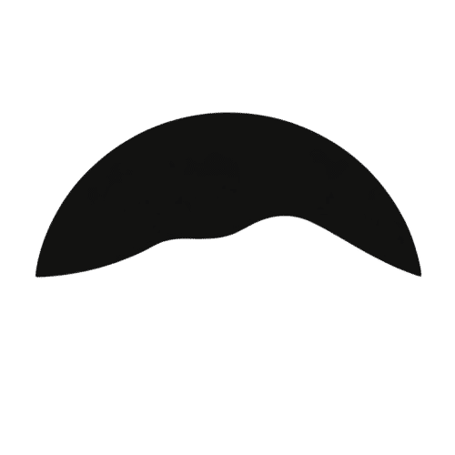 Island Logo