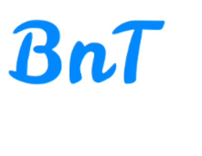 Bass n Treble logo